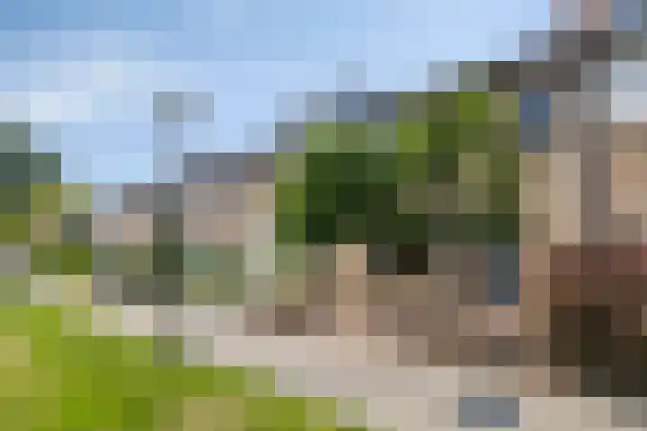 Paukeslag 40 Etten-Leur thumbnail 6