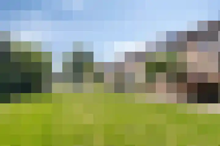 Paukeslag 40 Etten-Leur thumbnail 8