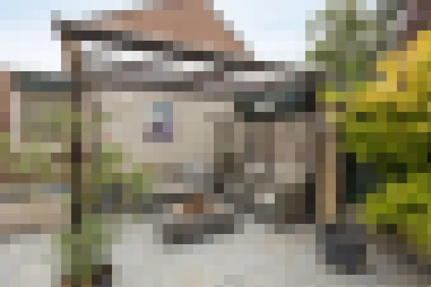Paukeslag 41 Etten-Leur thumbnail 37