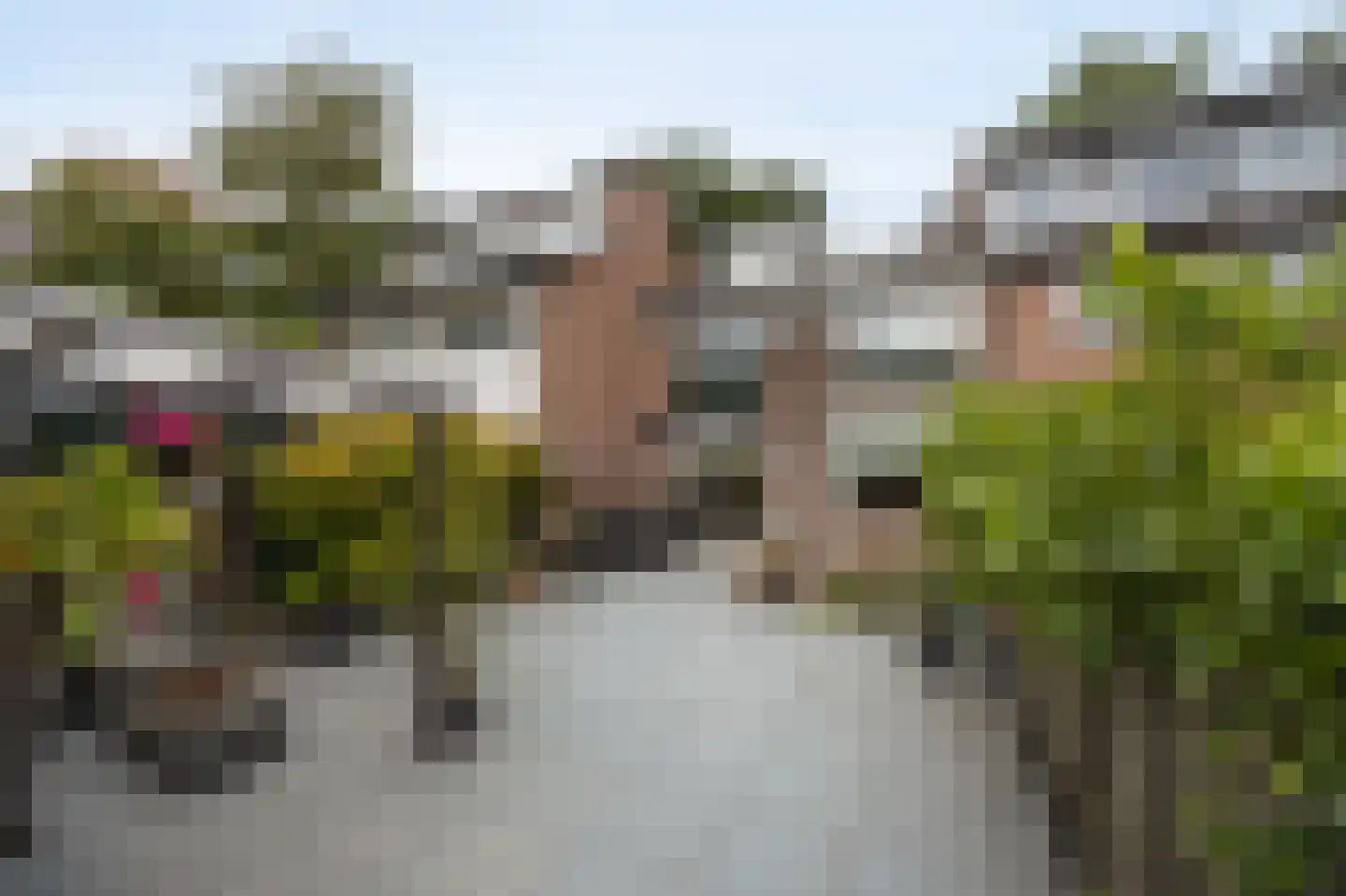 Paukeslag 41 Etten-Leur thumbnail 39