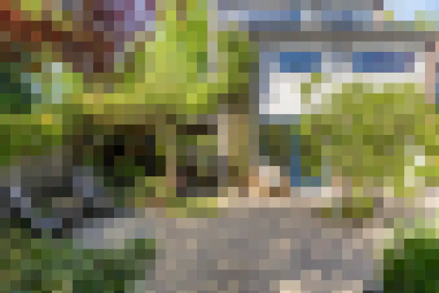 Paukeslag 43 Etten-Leur thumbnail 30