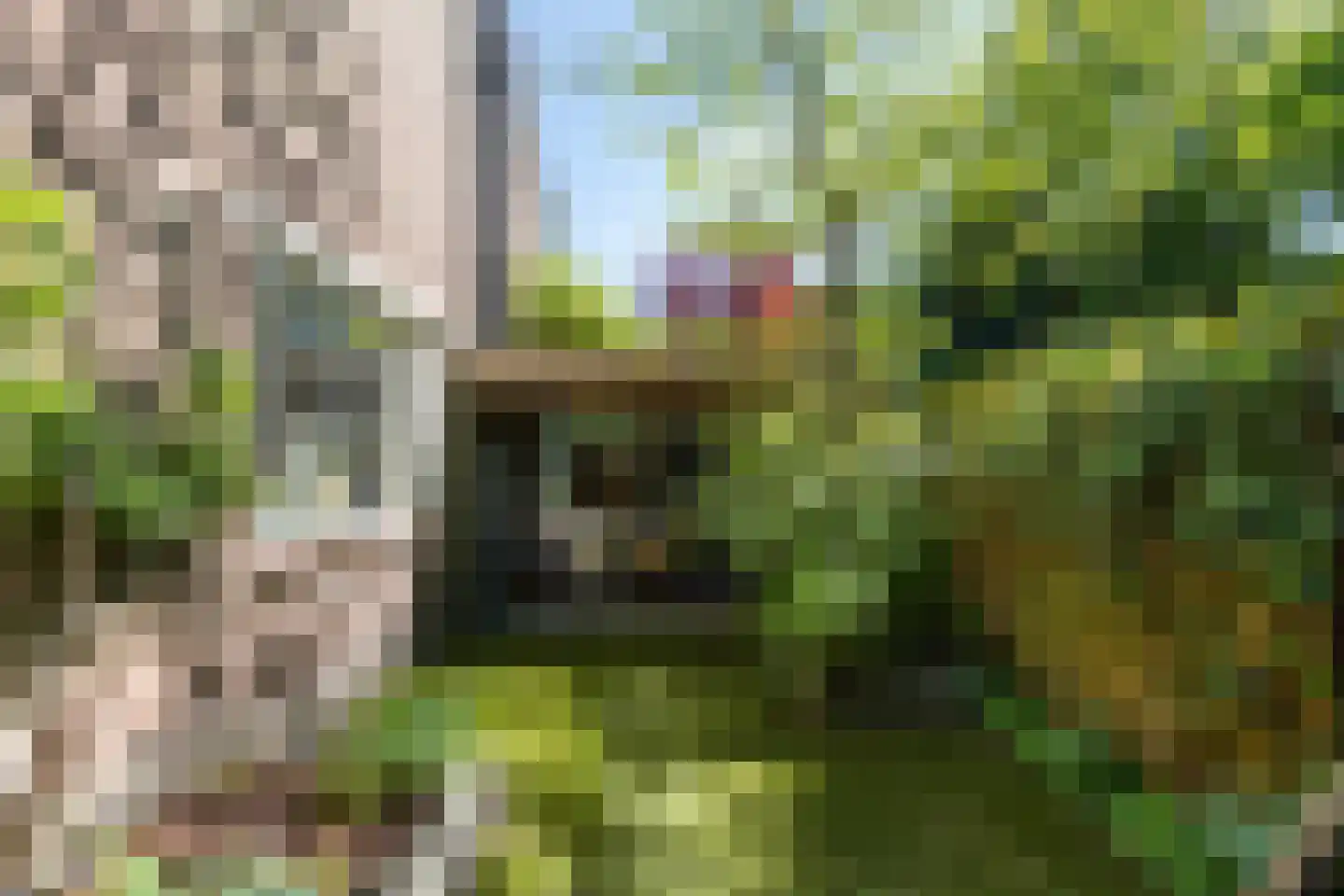 Paukeslag 43 Etten-Leur thumbnail 32