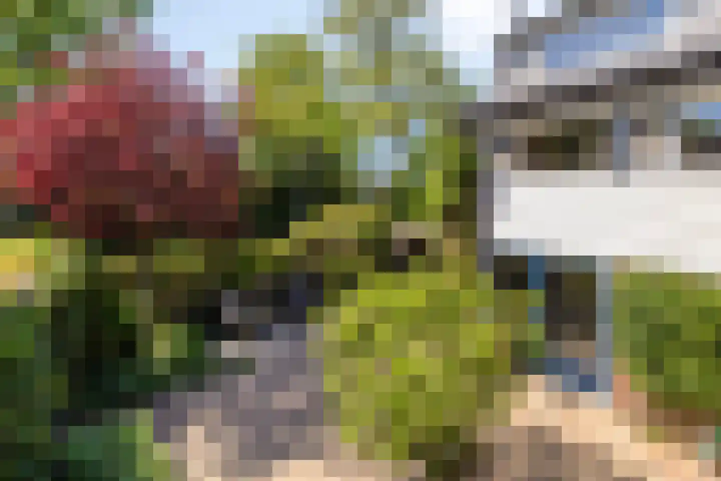 Paukeslag 43 Etten-Leur thumbnail 34
