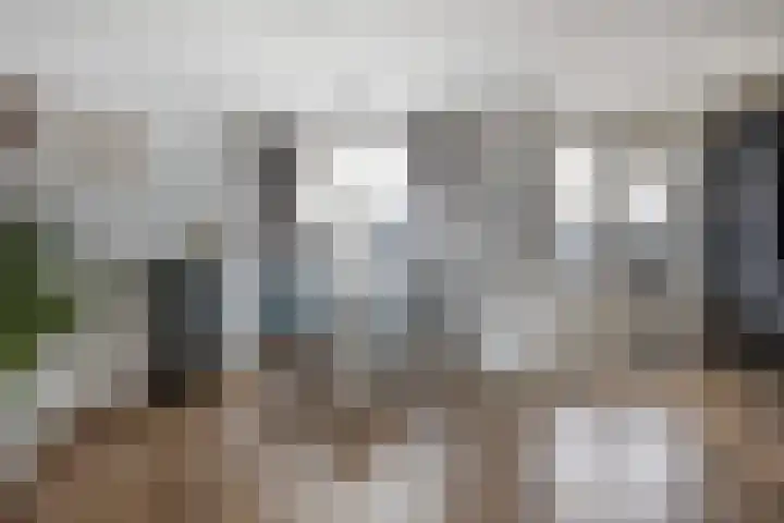 Paukeslag 56 Etten-Leur thumbnail 10