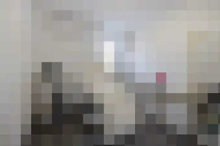 Paukeslag 56 Etten-Leur thumbnail 21