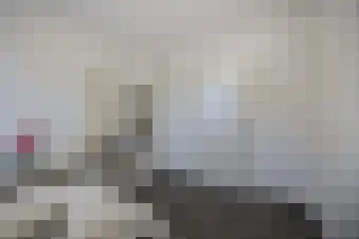 Paukeslag 56 Etten-Leur thumbnail 22
