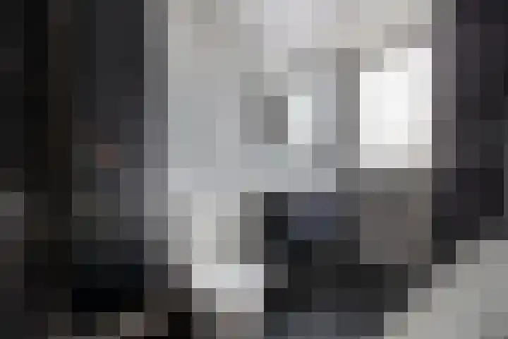 Paukeslag 56 Etten-Leur thumbnail 24