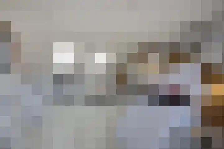 Paukeslag 56 Etten-Leur thumbnail 28
