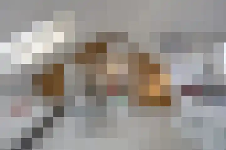 Paukeslag 56 Etten-Leur thumbnail 29