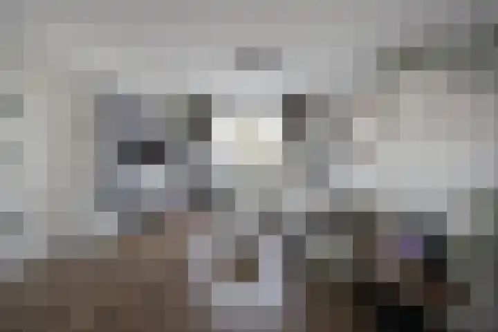 Paukeslag 56 Etten-Leur thumbnail 8