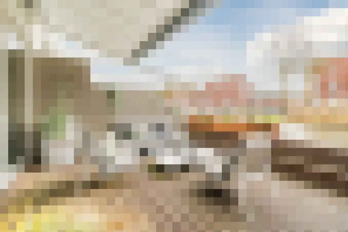 Paul Burkhardplantsoen 14 Utrecht thumbnail 22