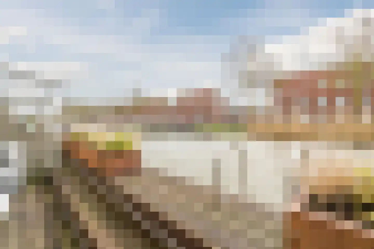 Paul Burkhardplantsoen 14 Utrecht thumbnail 23