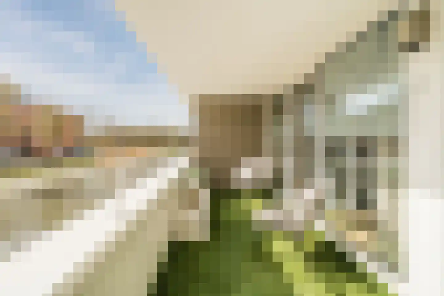 Paul Burkhardplantsoen 14 Utrecht thumbnail 69