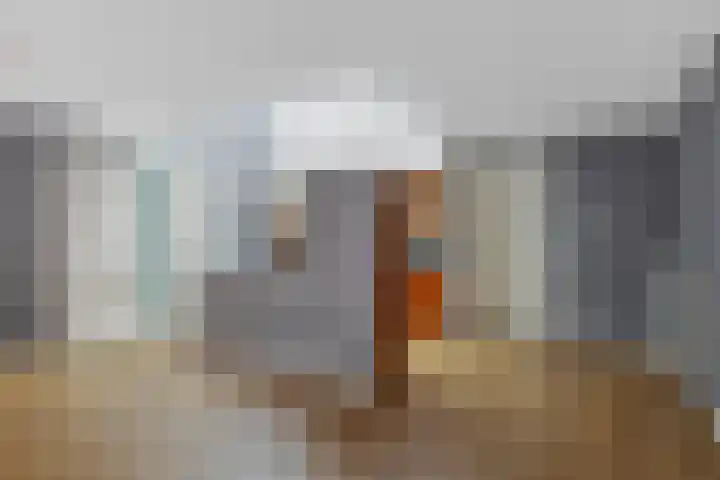 Paul Burkhardplantsoen 36 Utrecht thumbnail 12
