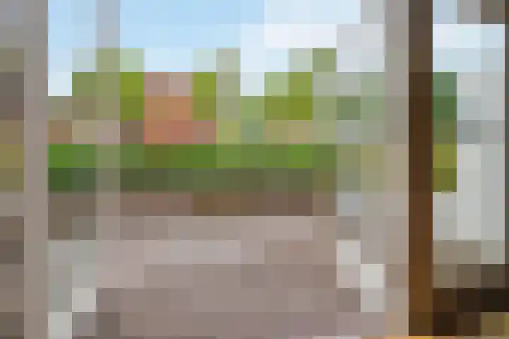 Paul Burkhardplantsoen 36 Utrecht thumbnail 17