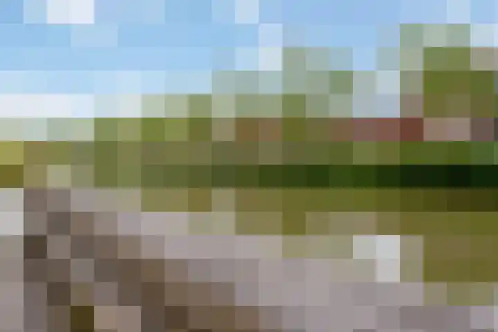 Paul Burkhardplantsoen 36 Utrecht thumbnail 18