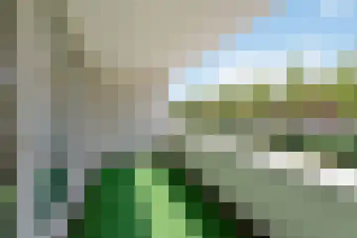 Paul Burkhardplantsoen 36 Utrecht thumbnail 32