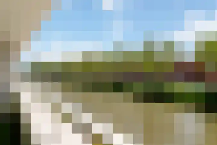 Paul Burkhardplantsoen 36 Utrecht thumbnail 33