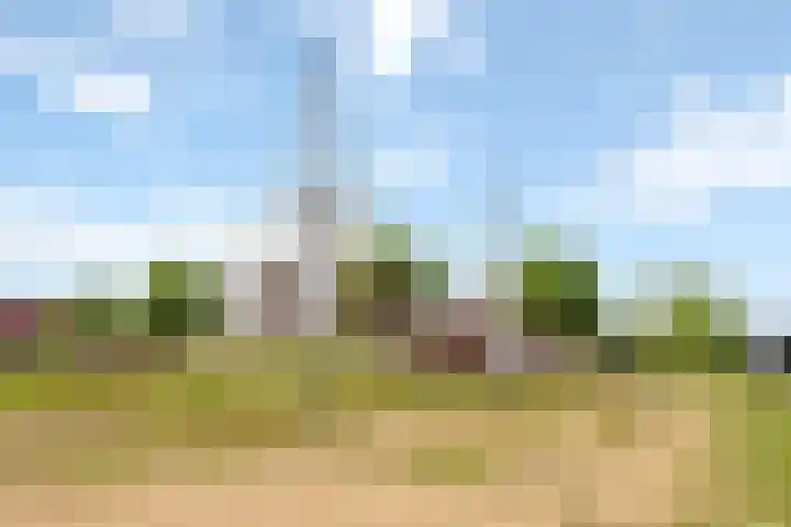 Paul Burkhardplantsoen 36 Utrecht thumbnail 39