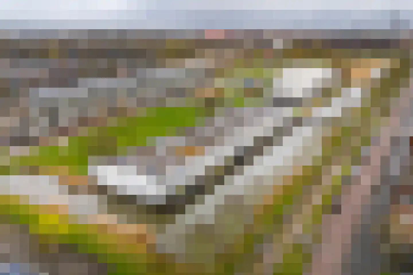 Paul Burkhardplantsoen 38 Utrecht thumbnail 49