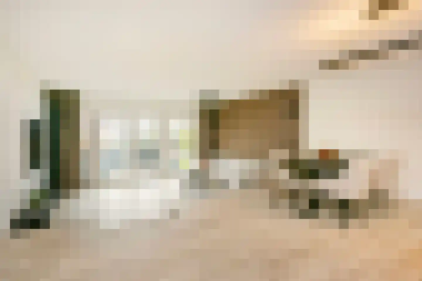 Paul Burkhardplantsoen 38 Utrecht thumbnail 8