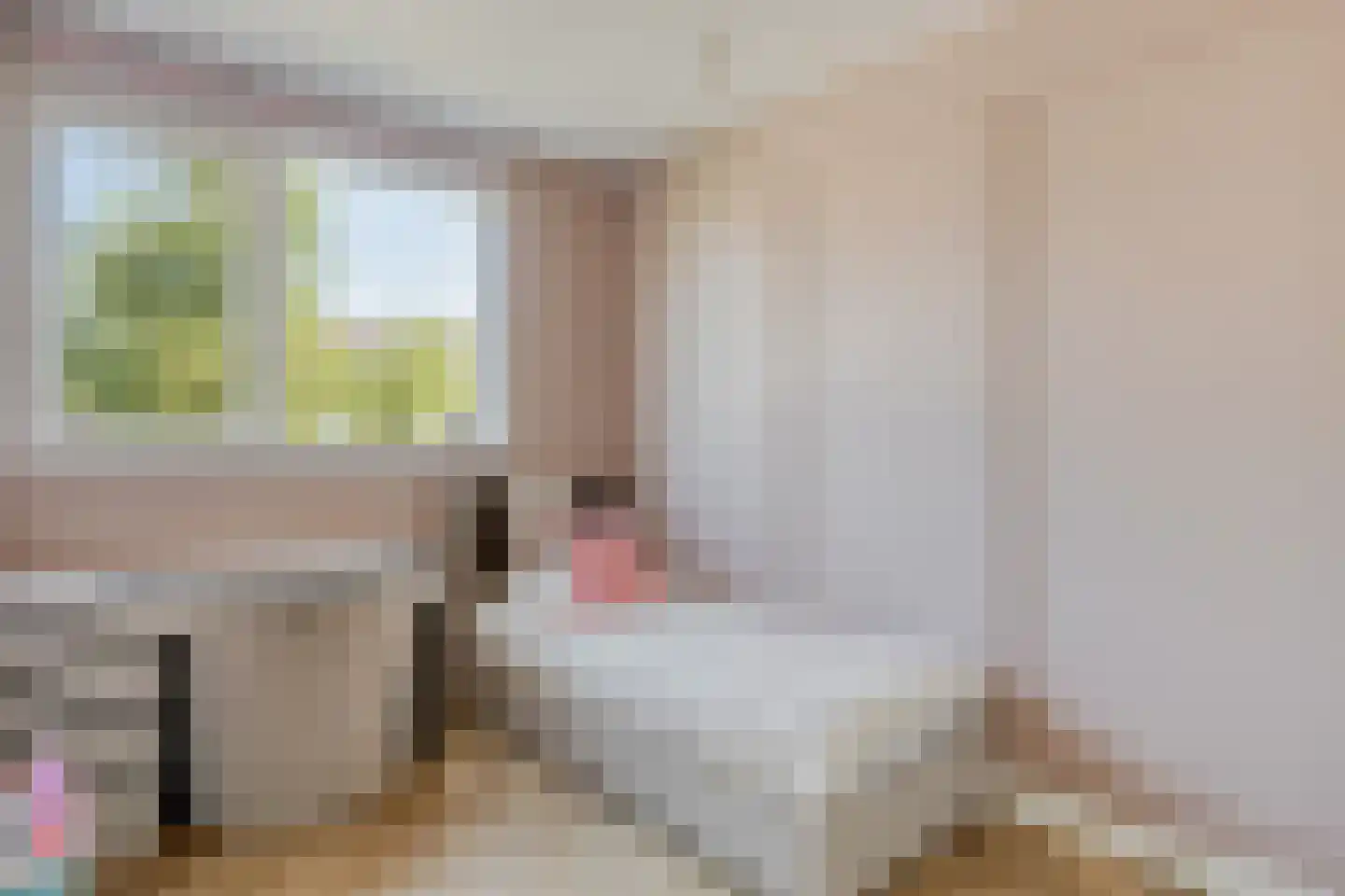 Paul Cézannestraat 17 Zaandam thumbnail 19