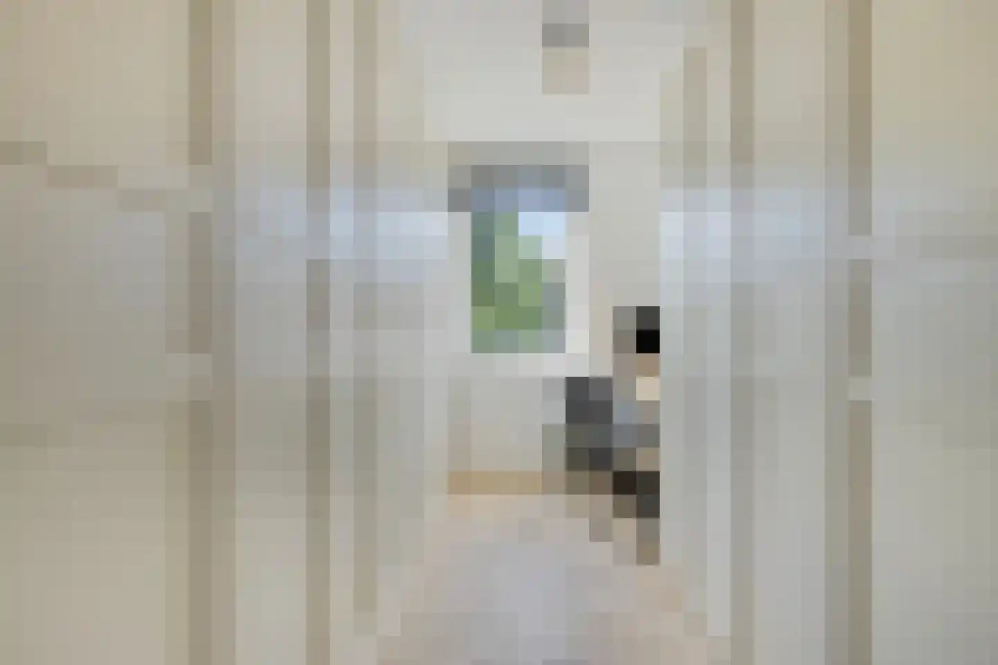 Paul Cézannestraat 17 Zaandam thumbnail 21