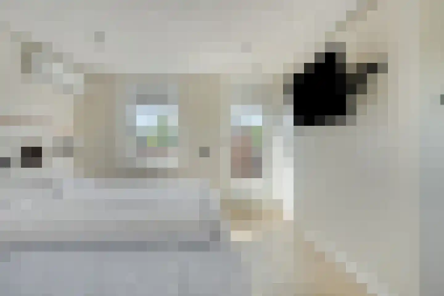 Paul Cézannestraat 17 Zaandam thumbnail 25