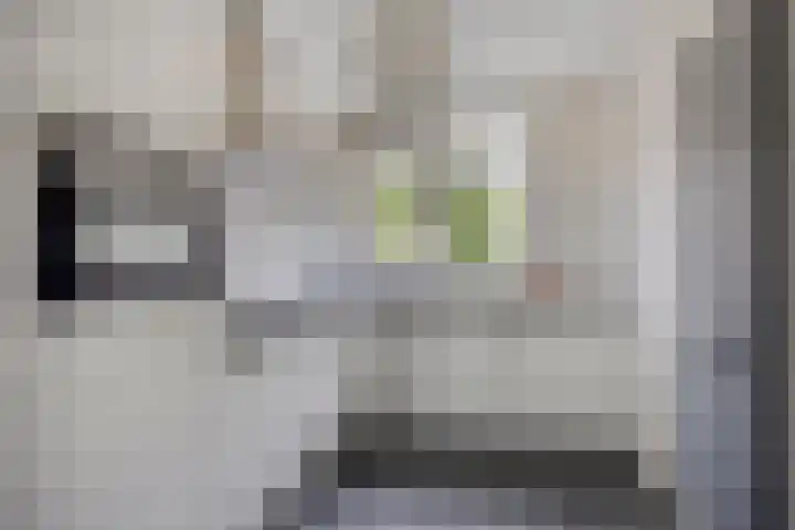 Paul Cézannestraat 25 Zaandam thumbnail 10