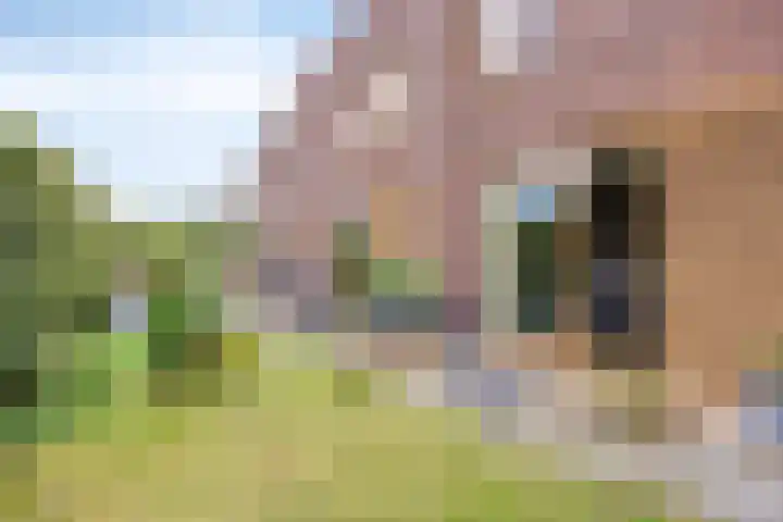 Paul Cézannestraat 25 Zaandam thumbnail 28