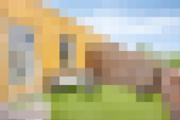 Paul Cézannestraat 25 Zaandam thumbnail 4