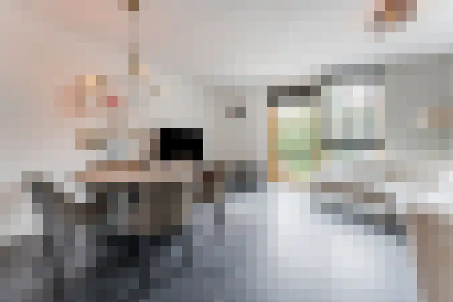 Paul Cézannestraat 27 Zaandam thumbnail 17