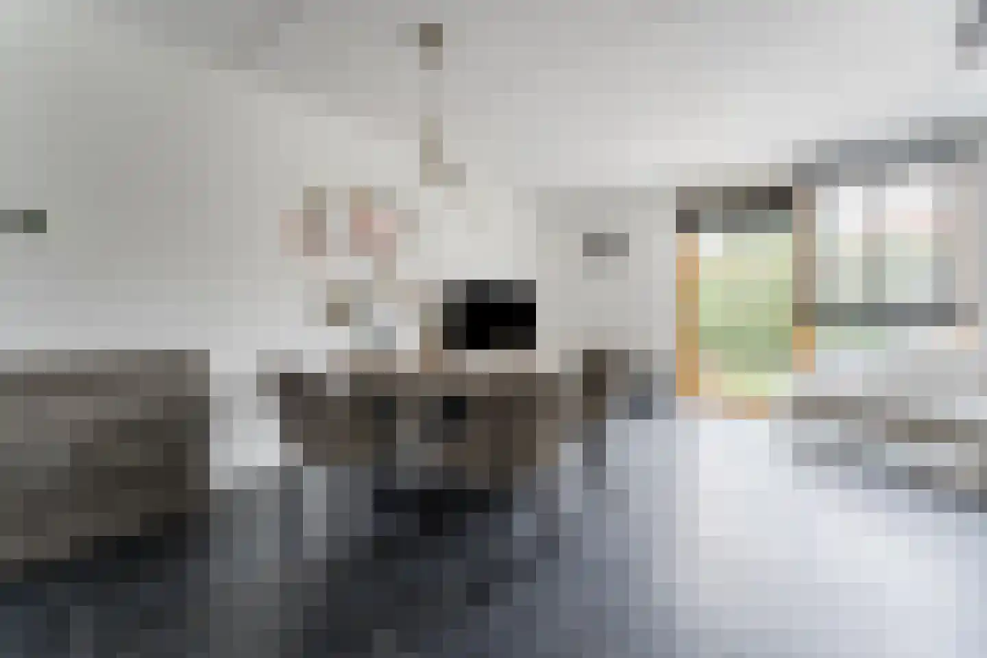 Paul Cézannestraat 27 Zaandam thumbnail 18