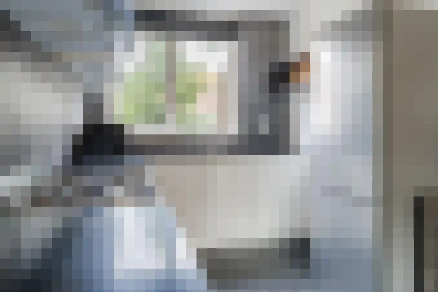 Paul Cézannestraat 27 Zaandam thumbnail 26