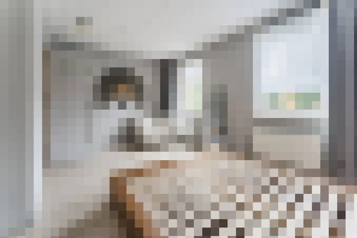 Paul Cézannestraat 27 Zaandam thumbnail 32