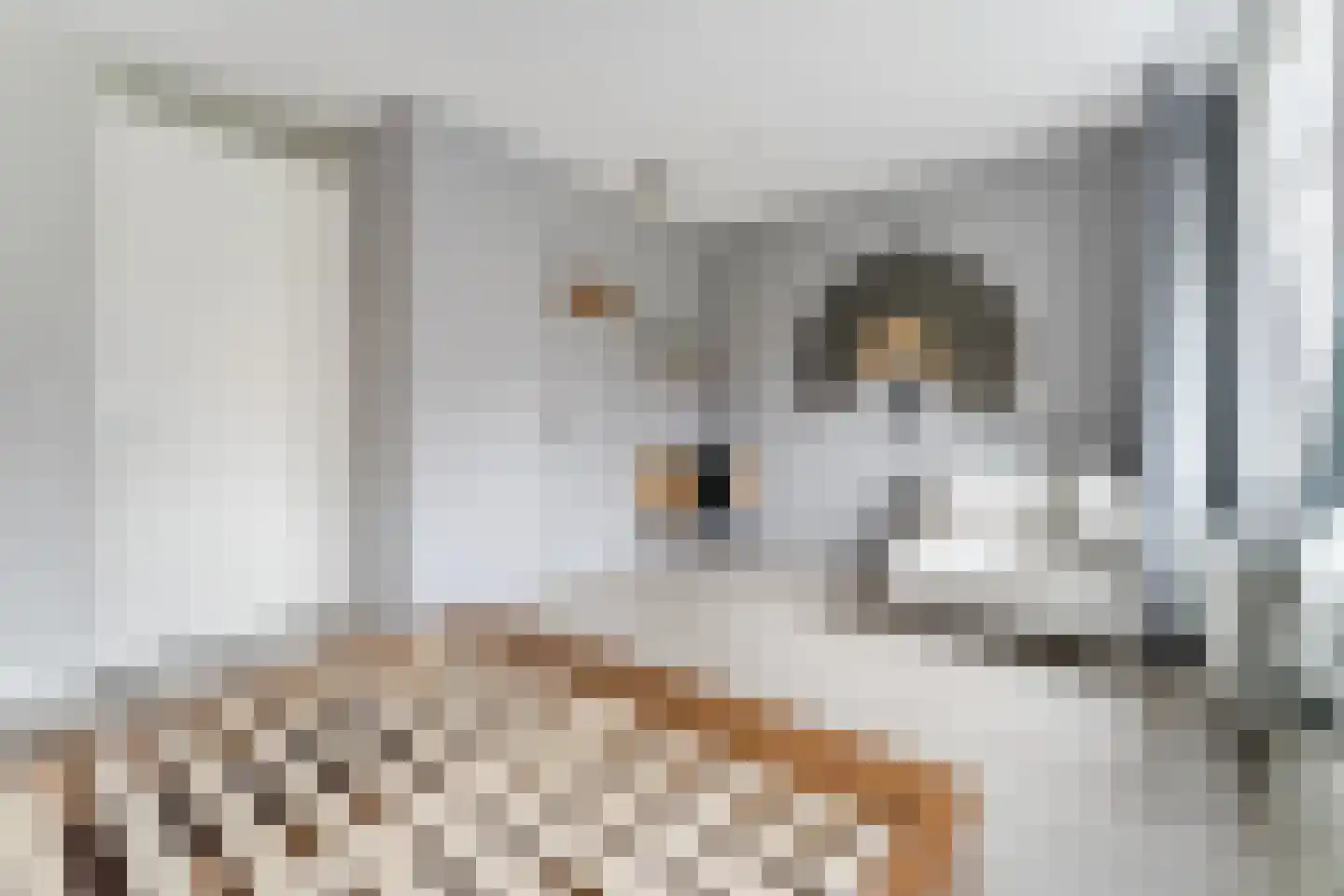 Paul Cézannestraat 27 Zaandam thumbnail 33