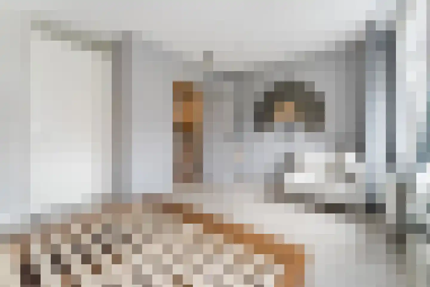 Paul Cézannestraat 27 Zaandam thumbnail 34
