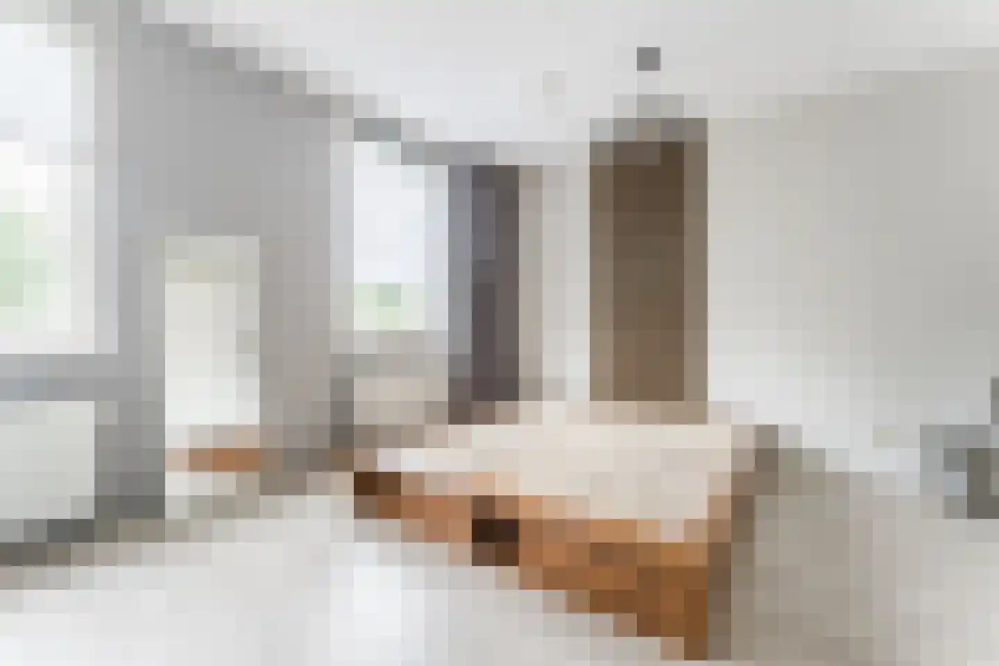 Paul Cézannestraat 27 Zaandam thumbnail 35