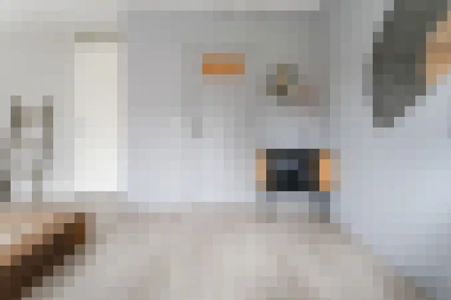 Paul Cézannestraat 27 Zaandam thumbnail 37