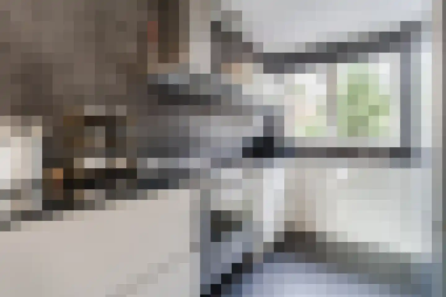 Paul Cézannestraat 27 Zaandam thumbnail 4