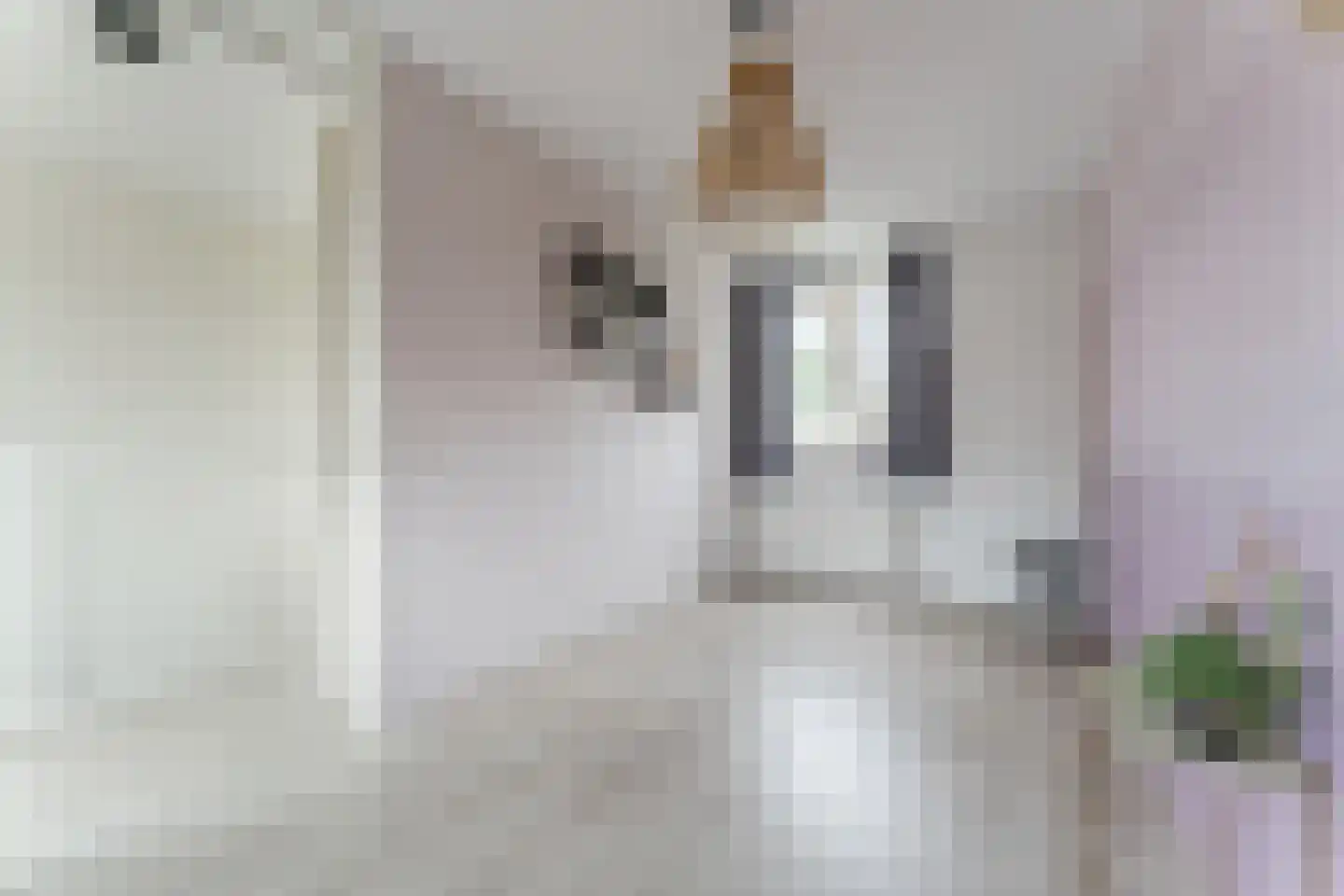 Paul Cézannestraat 27 Zaandam thumbnail 52
