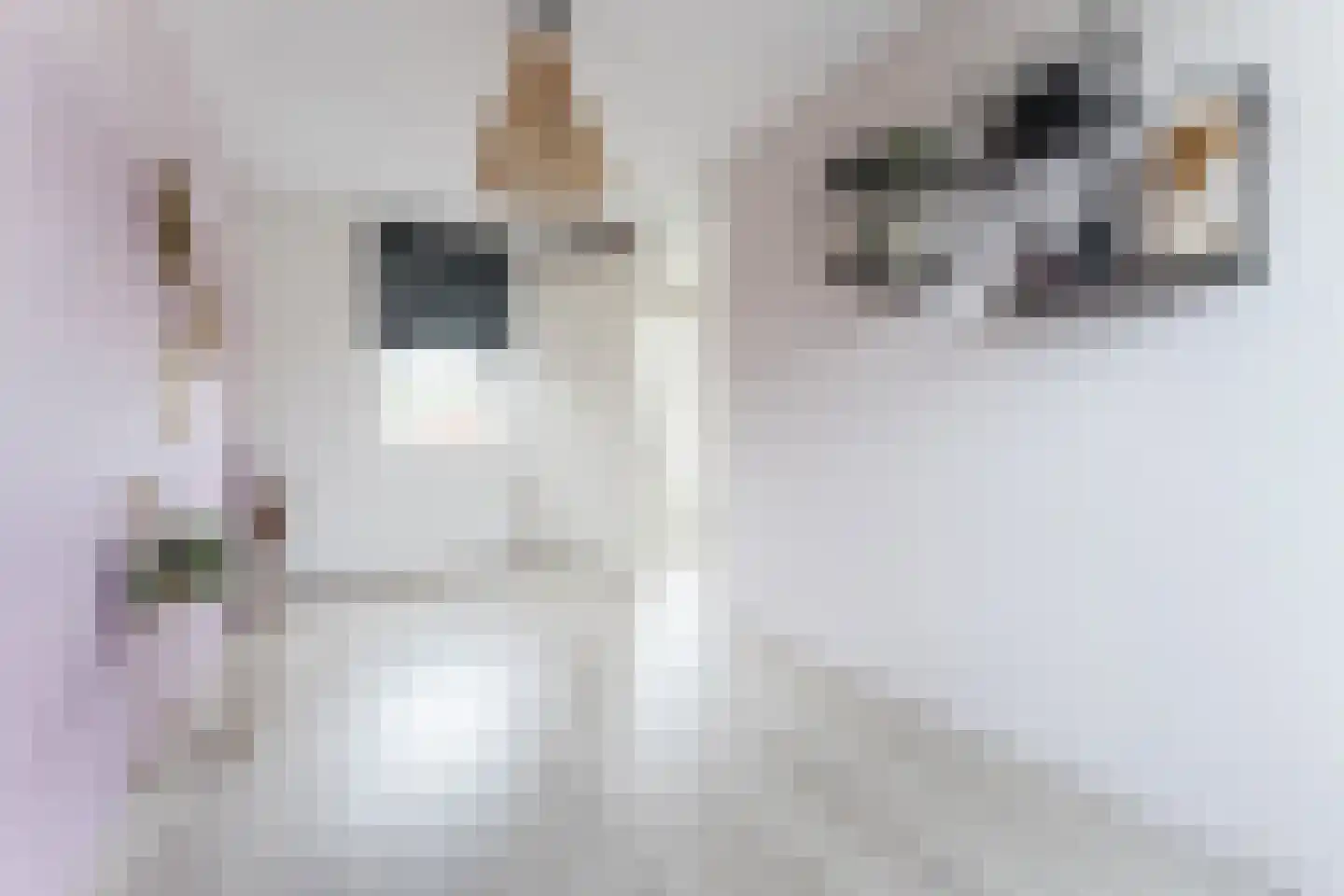 Paul Cézannestraat 27 Zaandam thumbnail 53