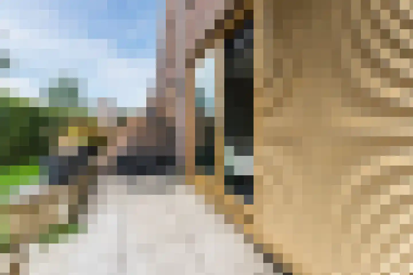 Paul Cézannestraat 27 Zaandam thumbnail 64