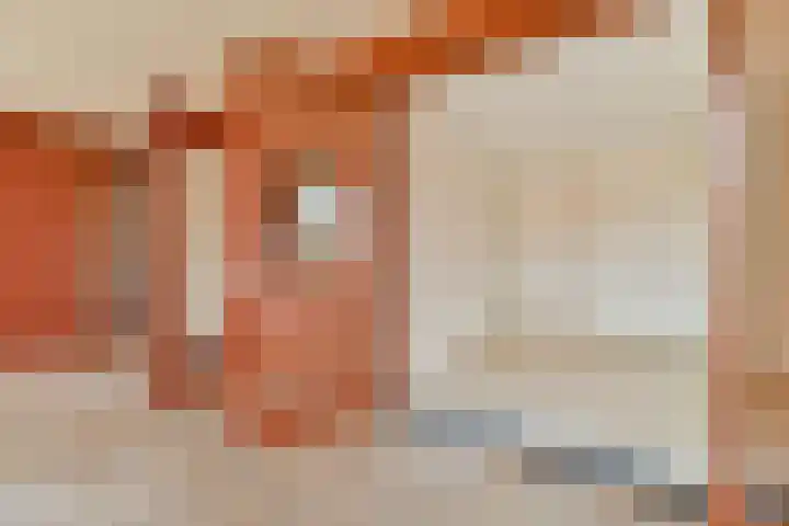 Paul Christiaan Flustraat 22 Amsterdam thumbnail 24