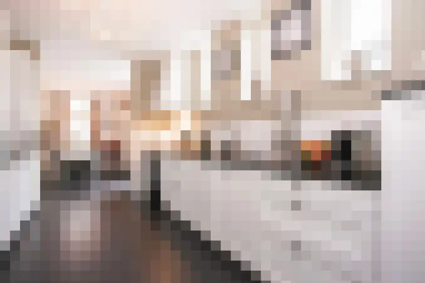 Paul Citroenstraat 16 Utrecht thumbnail 18
