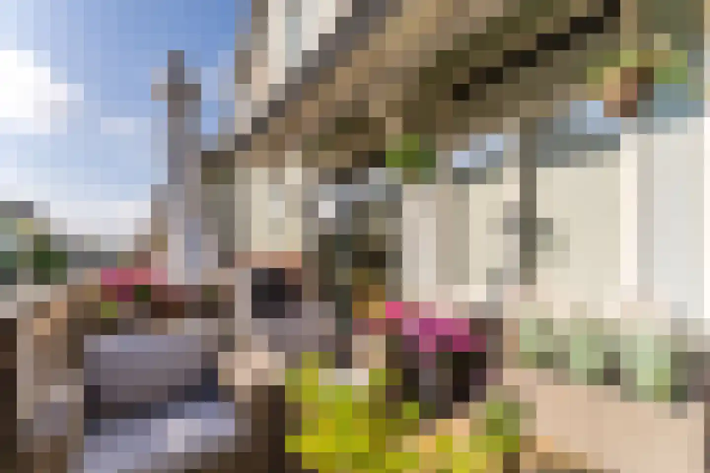 Paul Citroenstraat 16 Utrecht thumbnail 22