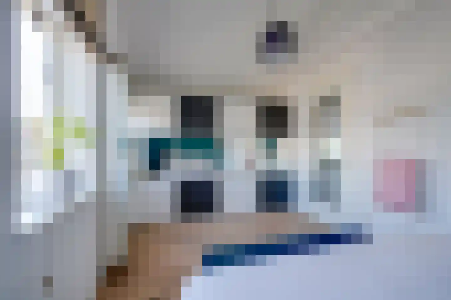 Paul Citroenstraat 36 Utrecht thumbnail 43
