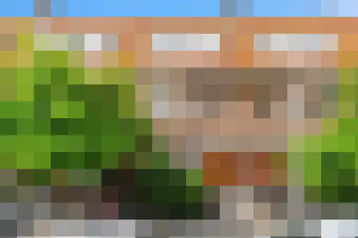 Paul Gabriëlstraat 28 in Den Haag