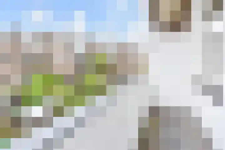 Paul Gabriëlstraat 31 Den Haag thumbnail 39