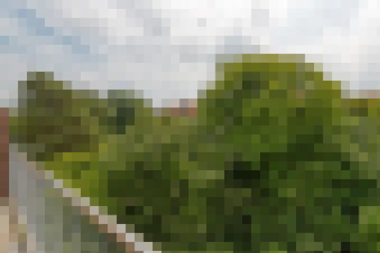 Paul Gabriëlstraat 91 Den Haag thumbnail 37